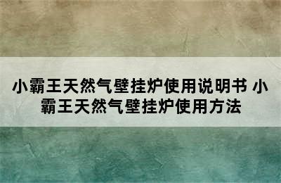 小霸王天然气壁挂炉使用说明书 小霸王天然气壁挂炉使用方法